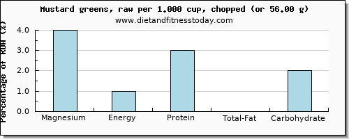 magnesium and nutritional content in mustard greens